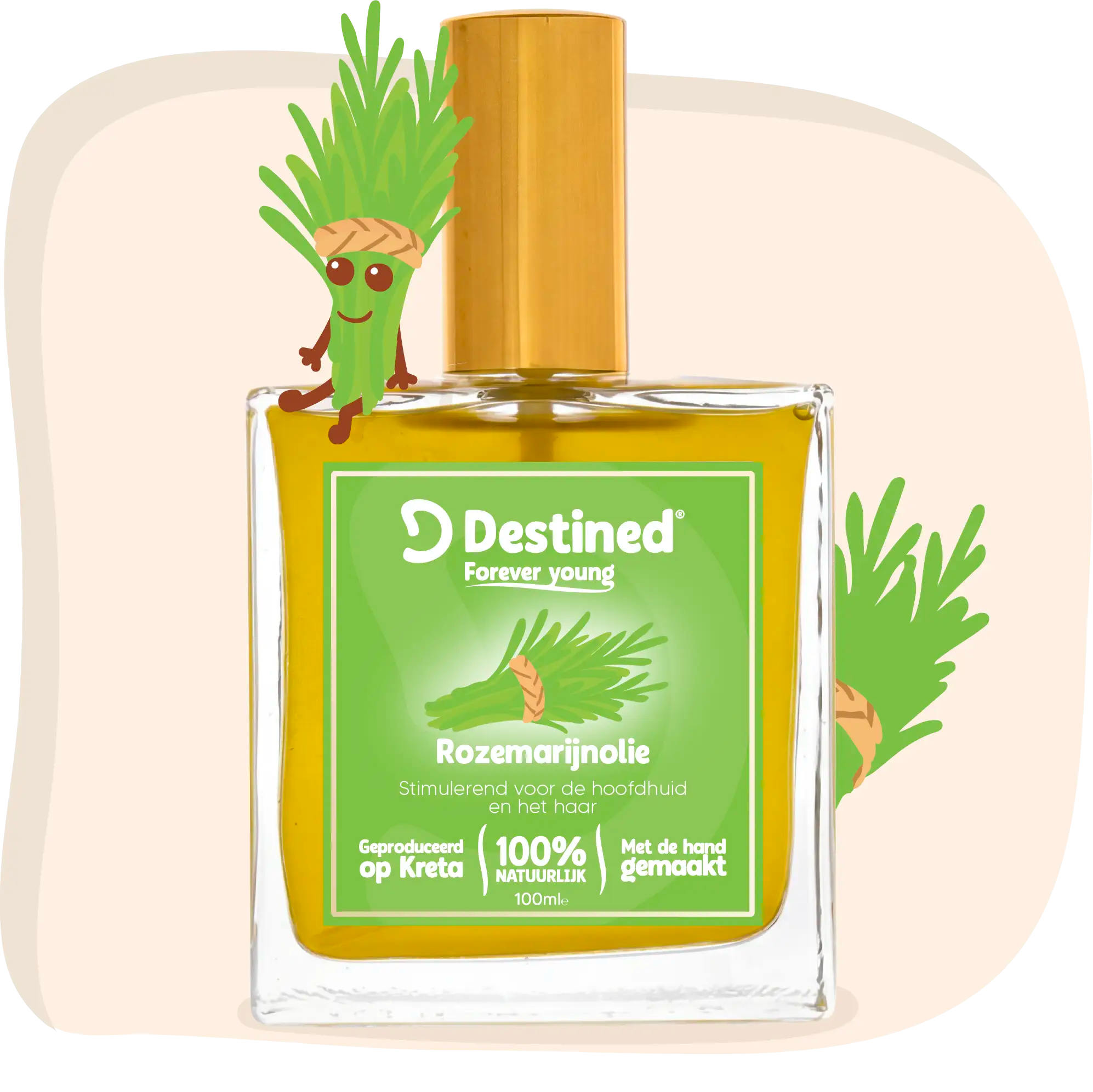 Rozemarijn olie - Anti-Haaruitval