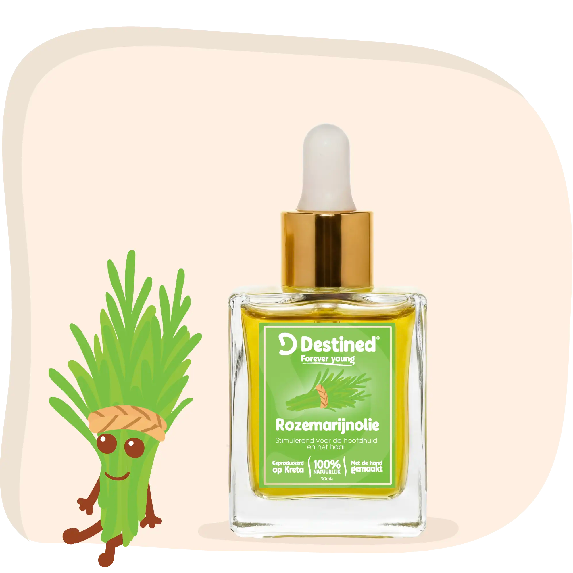 Rozemarijn olie - Anti-Haaruitval