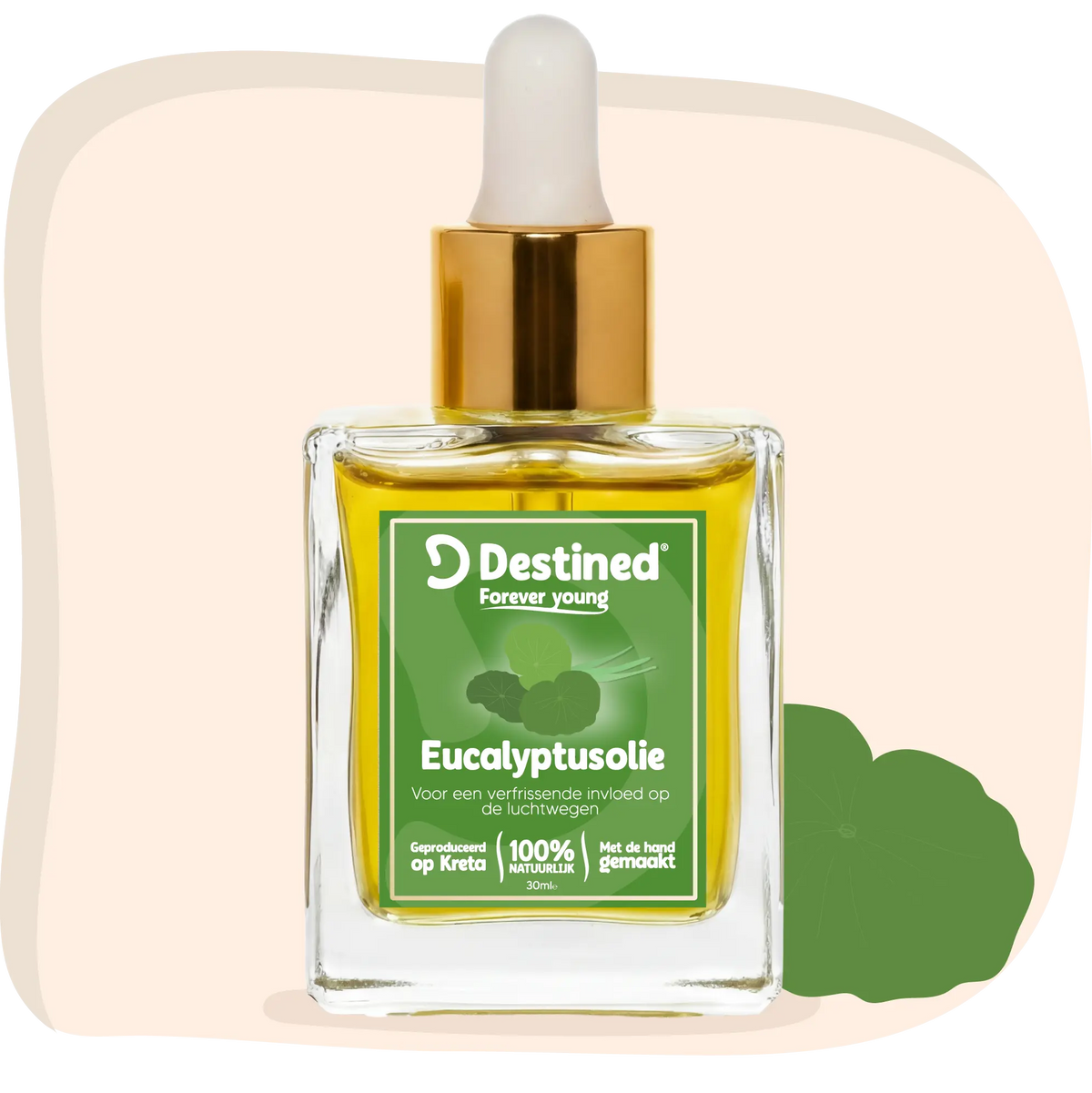 Eucalyptus olie