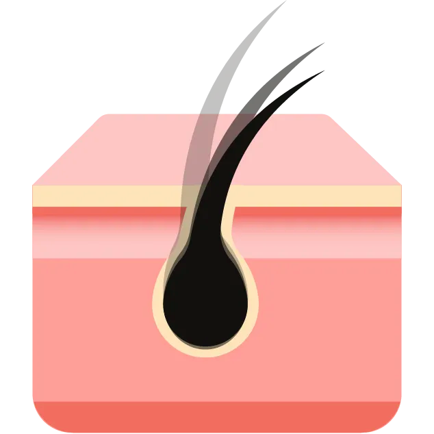 ICONS-60.webp