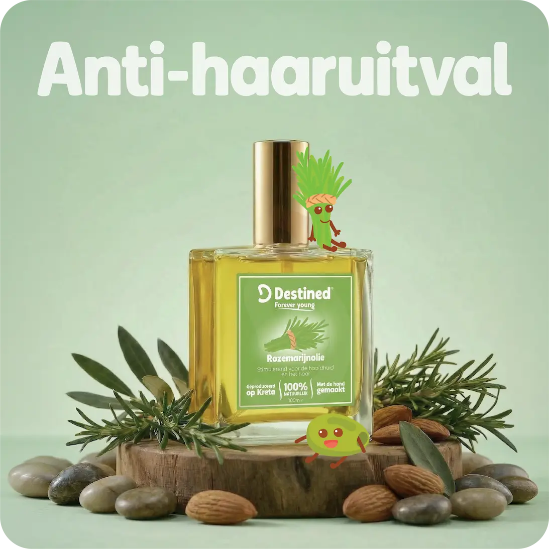 Rozemarijn olie - Anti-Haaruitval