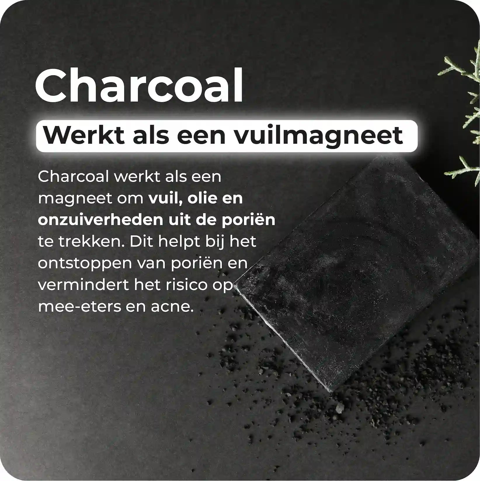 Charcoal Zeep | Vette huid