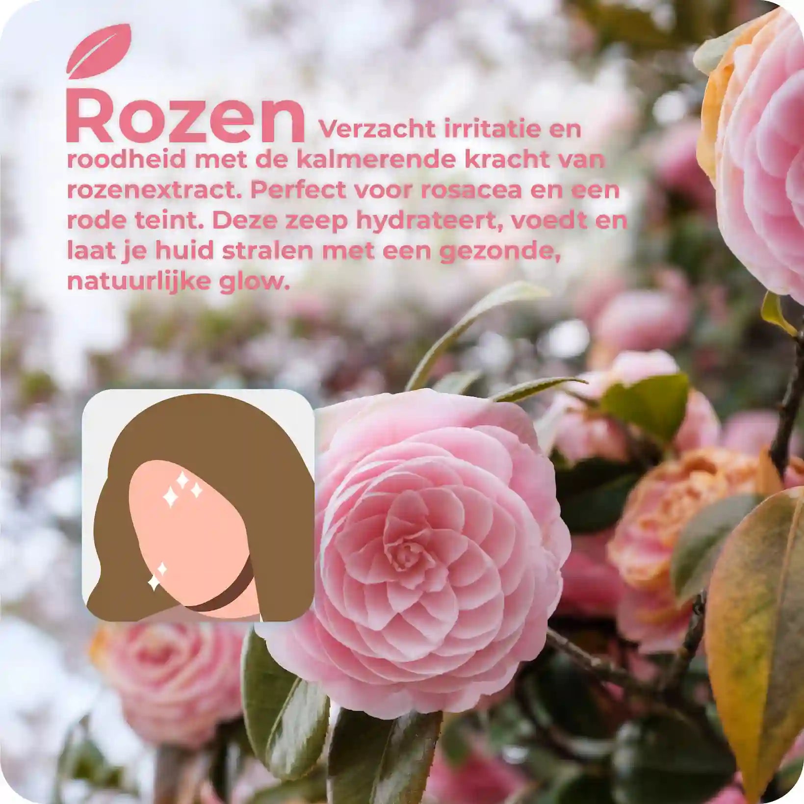 Rozen zeep | Geïrriteerde huid