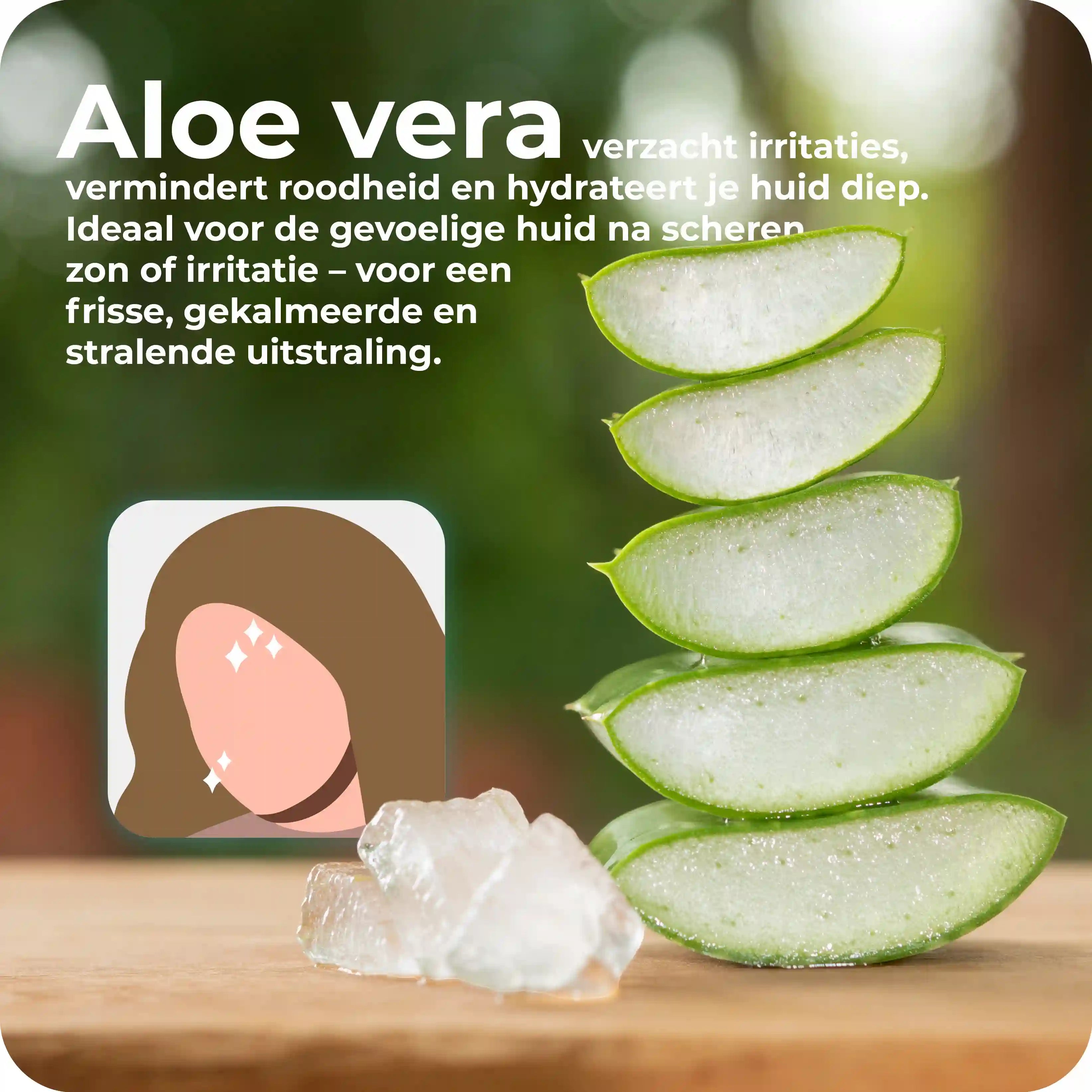 Aloë vera Zeep | Branderige huid