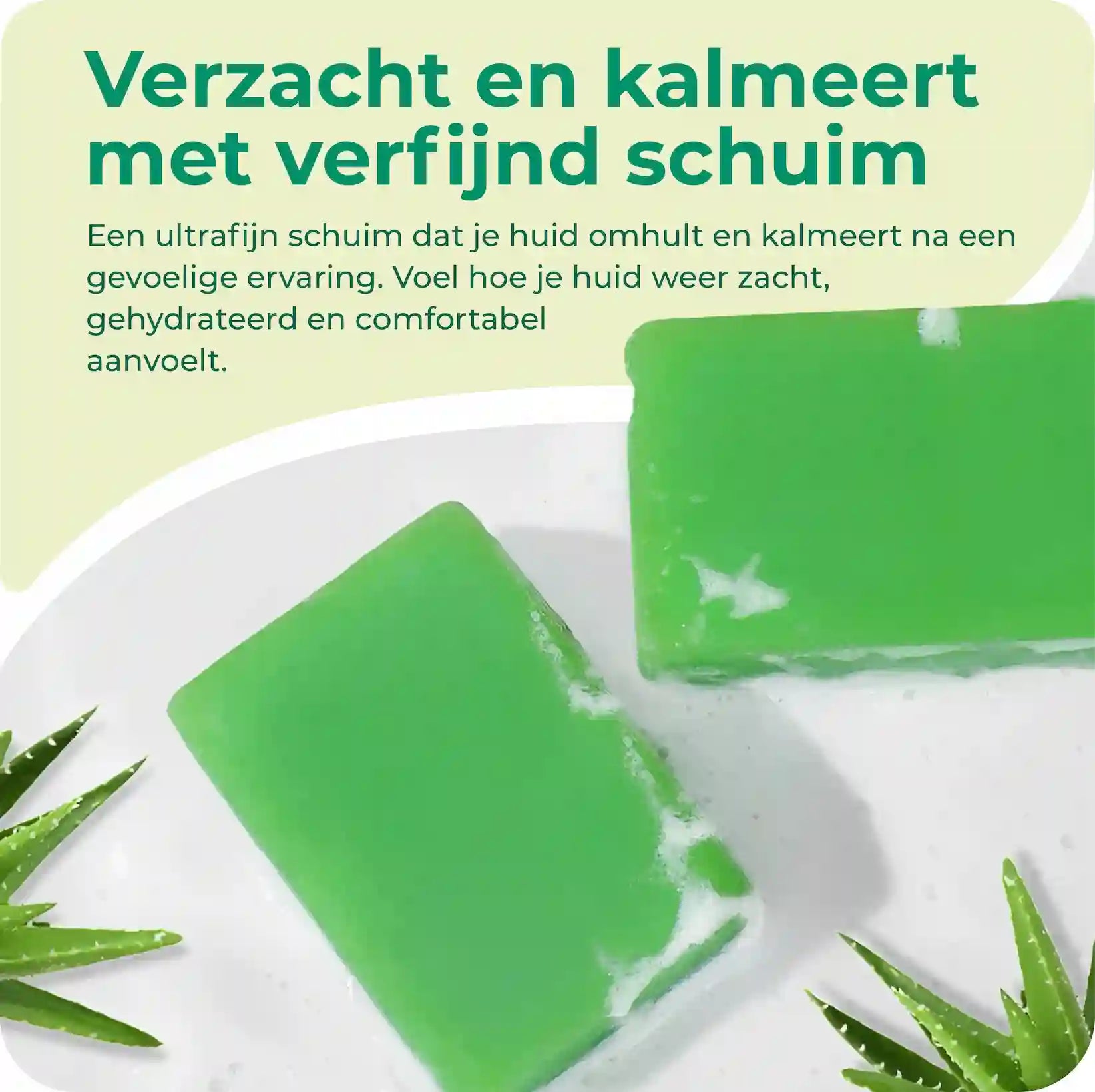 Aloë vera Zeep | Branderige huid