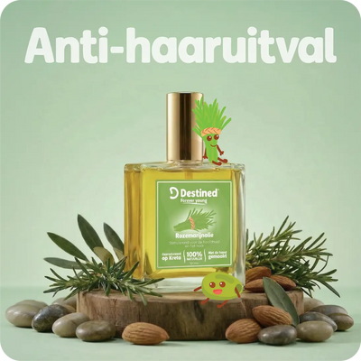 Rozemarijn olie - Anti-Haaruitval